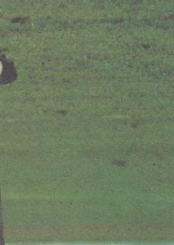 1977 Scanlens VFL #9 Bernie Jones Back